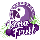 logo_bona_transparente